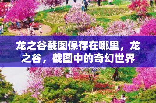 龙之谷截图保存在哪里，龙之谷，截图中的奇幻世界