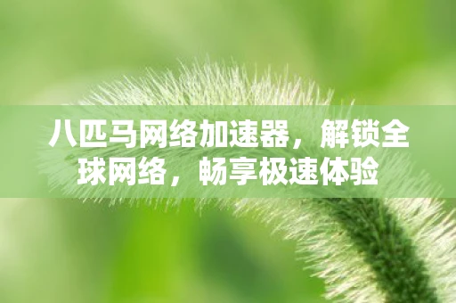 八匹马网络加速器，解锁全球网络，畅享极速体验
