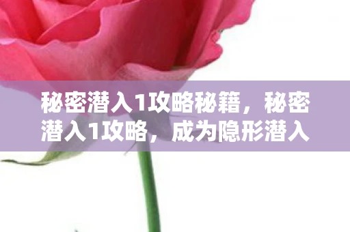 秘密潜入1攻略秘籍，秘密潜入1攻略，成为隐形潜入大师