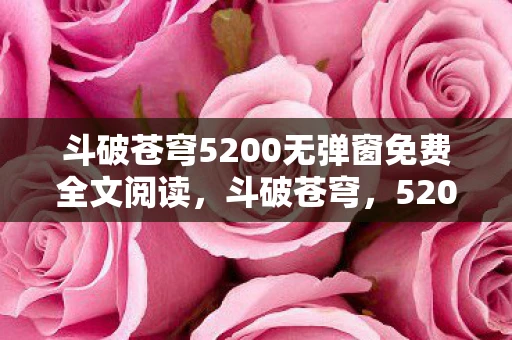 斗破苍穹5200无弹窗免费全文阅读，斗破苍穹，5200年的传奇之旅