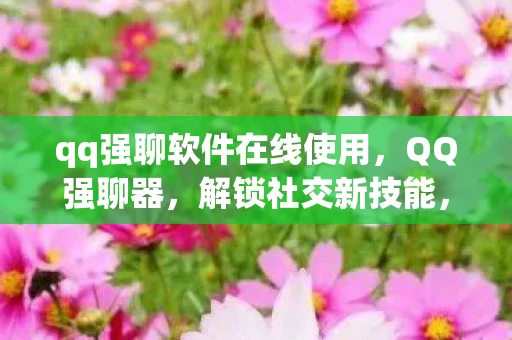 qq强聊软件在线使用，QQ强聊器，解锁社交新技能，但需注意法律风险