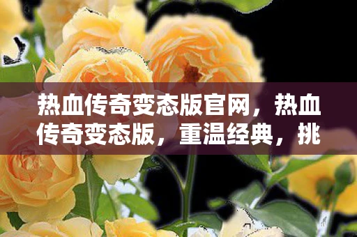 热血传奇变态版官网，热血传奇变态版，重温经典，挑战极限