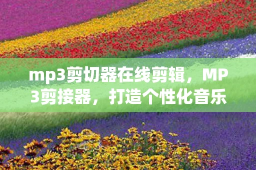 mp3剪切器在线剪辑，MP3剪接器，打造个性化音乐体验
