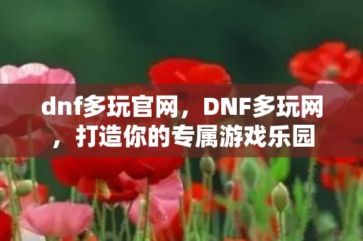 dnf多玩官网，DNF多玩网，打造你的专属游戏乐园