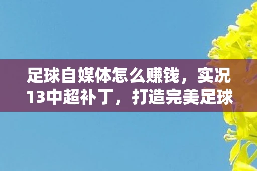 足球自媒体怎么赚钱，实况13中超补丁，打造完美足球体验