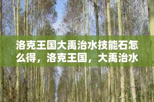洛克王国大禹治水技能石怎么得，洛克王国，大禹治水的智慧与启示