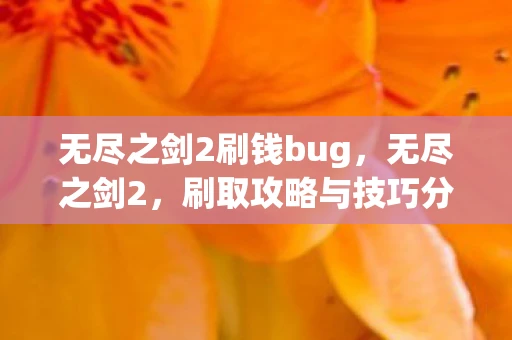 无尽之剑2刷钱bug，无尽之剑2，刷取攻略与技巧分享