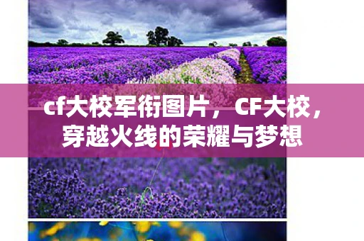 cf大校军衔图片,CF大校,穿越火线的荣耀与梦想 cf大校军衔图片,CF大校,穿越火线的荣耀与梦想