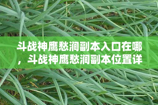 斗战神鹰愁涧副本入口在哪,斗战神鹰愁涧副本位置详解 斗战神鹰愁涧副本入口在哪,斗战神鹰愁涧副本位置详解