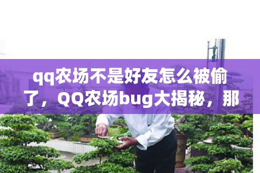 qq农场不是好友怎么被偷了，QQ农场bug大揭秘，那些年我们偷过的菜