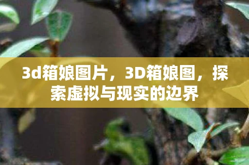 3d箱娘图片，3D箱娘图，探索虚拟与现实的边界