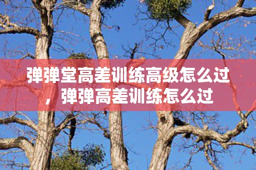 弹弹堂高差训练高级怎么过，弹弹高差训练怎么过