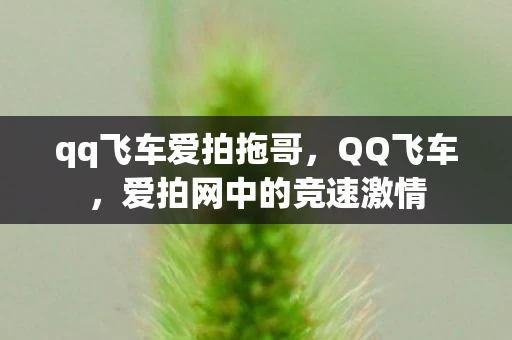 qq飞车爱拍拖哥,QQ飞车,爱拍网中的竞速激情 qq飞车爱拍拖哥,QQ飞车,爱拍网中的竞速激情