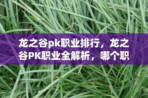 龙之谷pk职业排行，龙之谷PK职业全解析，哪个职业最适合你？