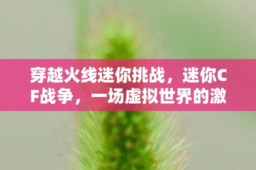 穿越火线迷你挑战，迷你CF战争，一场虚拟世界的激烈对抗