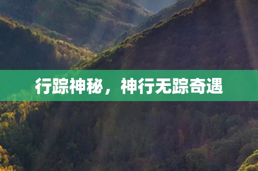行踪神秘，神行无踪奇遇