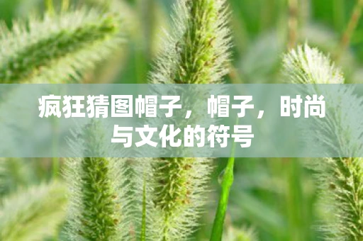 疯狂猜图帽子,帽子,时尚与文化的符号 疯狂猜图帽子,帽子,时尚与文化的符号