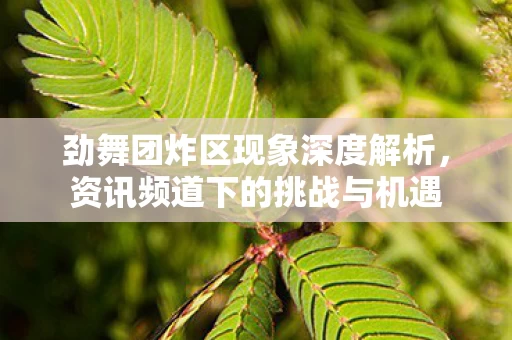 劲舞团炸区现象深度解析图片