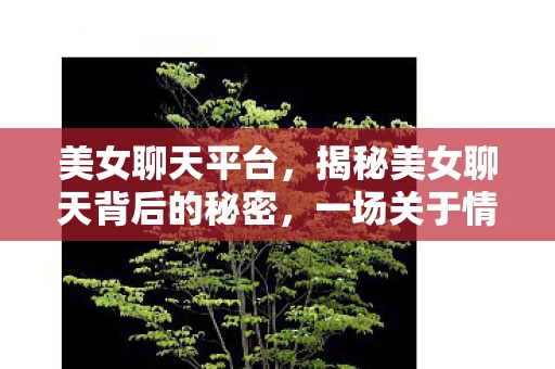 美女聊天平台，揭秘美女聊天背后的秘密，一场关于情感与利益的博弈