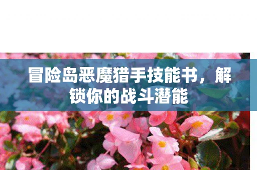 冒险岛恶魔猎手技能书,解锁你的战斗潜能 冒险岛恶魔猎手技能书,解锁你的战斗潜能