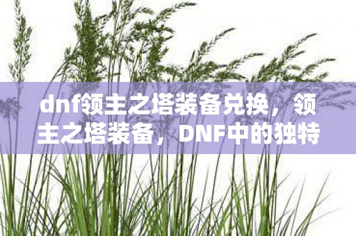 dnf领主之塔装备兑换,领主之塔装备,DNF中的独特挑战与奖励 dnf领主之塔装备兑换,领主之塔装备,DNF中的独特挑战与奖励