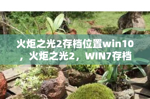 火炬之光2存档位置win10，火炬之光2，WIN7存档全攻略