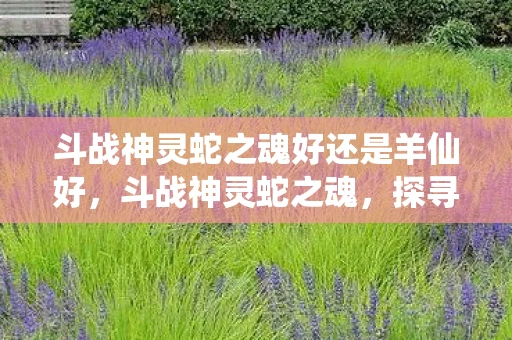 斗战神灵蛇之魂好还是羊仙好，斗战神灵蛇之魂，探寻古老传说中的神秘力量