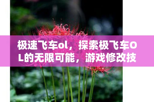 极速飞车ol，探索极飞车OL的无限可能，游戏修改技巧与注意事项