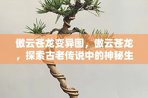 傲云苍龙变异图,傲云苍龙,探索古老传说中的神秘生物 傲云苍龙变异图,傲云苍龙,探索古老传说中的神秘生物
