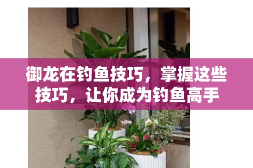 御龙在钓鱼技巧，掌握这些技巧，让你成为钓鱼高手