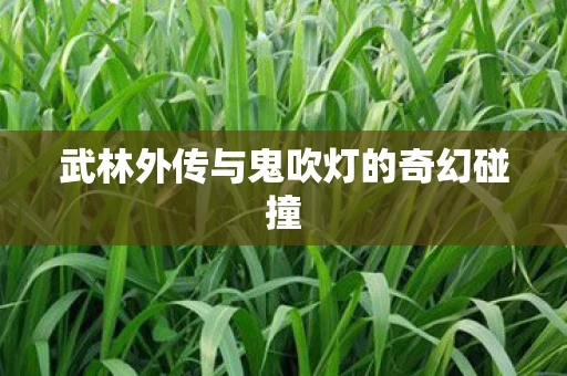 武林外传与鬼吹灯的奇幻碰撞 武林外传与鬼吹灯的奇幻碰撞