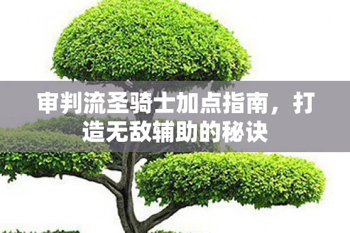 审判流圣骑士加点指南,打造无敌辅助的秘诀 审判流圣骑士加点指南,打造无敌辅助的秘诀