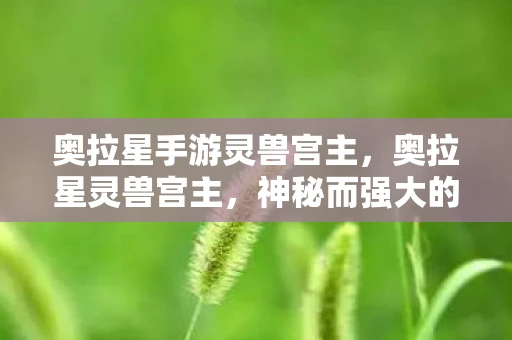 奥拉星手游灵兽宫主,奥拉星灵兽宫主,神秘而强大的存在 奥拉星手游灵兽宫主,奥拉星灵兽宫主,神秘而强大的存在