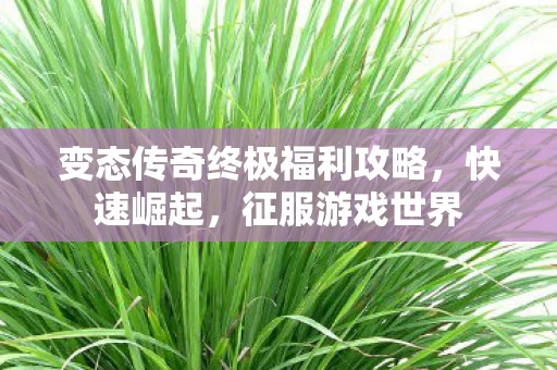 变态传奇终极福利攻略图片