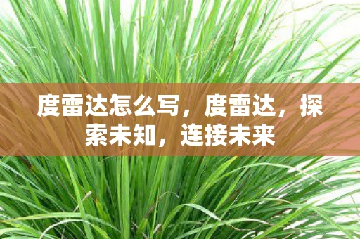 度雷达怎么写,度雷达,探索未知,连接未来 度雷达怎么写,度雷达,探索未知,连接未来