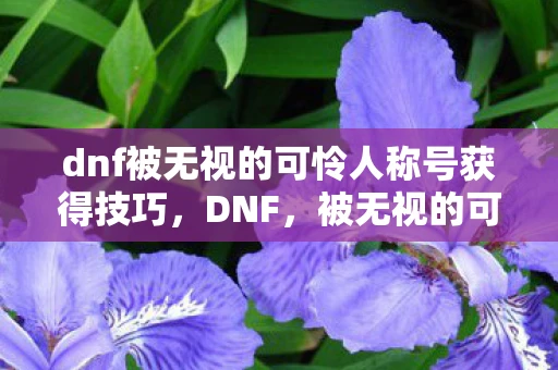 dnf被无视的可怜人称号获得技巧,DNF,被无视的可怜人 dnf被无视的可怜人称号获得技巧,DNF,被无视的可怜人