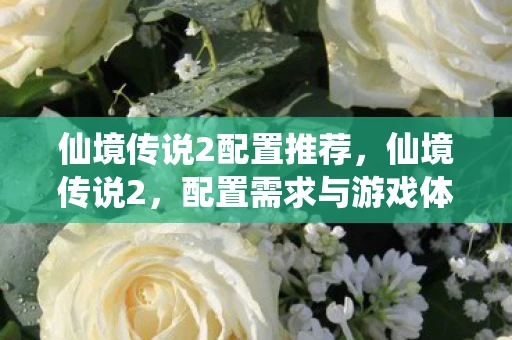 仙境传说2配置推荐,仙境传说2,配置需求与游戏体验 仙境传说2配置推荐,仙境传说2,配置需求与游戏体验