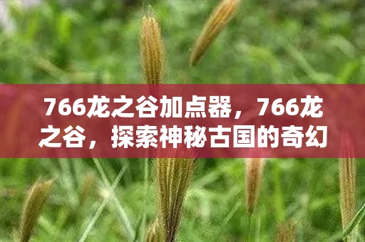 766龙之谷加点器,766龙之谷,探索神秘古国的奇幻之旅 766龙之谷加点器,766龙之谷,探索神秘古国的奇幻之旅