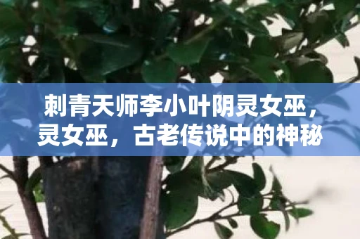 刺青天师李小叶阴灵女巫，灵女巫，古老传说中的神秘存在