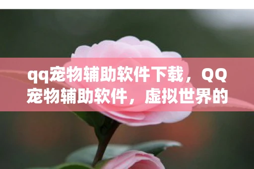 qq宠物辅助软件下载,QQ宠物辅助软件,虚拟世界的贴心伴侣 qq宠物辅助软件下载,QQ宠物辅助软件,虚拟世界的贴心伴侣