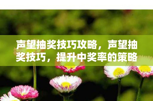 声望抽奖技巧攻略,声望抽奖技巧,提升中奖率的策略与心得 声望抽奖技巧攻略,声望抽奖技巧,提升中奖率的策略与心得