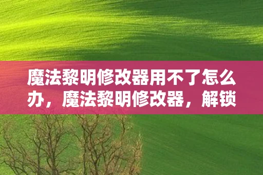 魔法黎明修改器用不了怎么办，魔法黎明修改器，解锁无限可能的冒险之旅