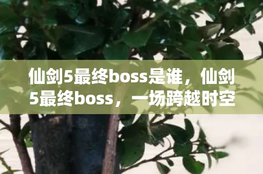 仙剑5最终boss是谁，仙剑5最终boss，一场跨越时空的宿命对决