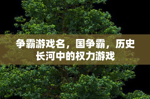 争霸游戏名，国争霸，历史长河中的权力游戏