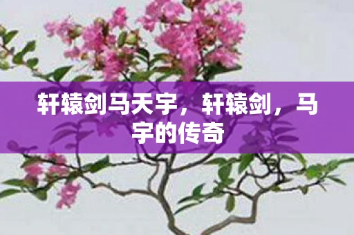 轩辕剑马天宇,轩辕剑,马宇的传奇 轩辕剑马天宇,轩辕剑,马宇的传奇