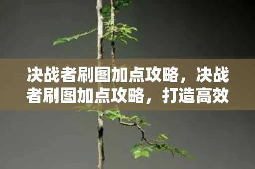 决战者刷图加点攻略,决战者刷图加点攻略,打造高效战斗体验 决战者刷图加点攻略,决战者刷图加点攻略,打造高效战斗体验