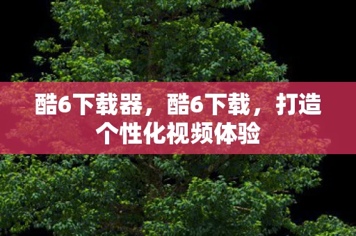 酷6下载器,酷6下载,打造个性化视频体验 酷6下载器,酷6下载,打造个性化视频体验
