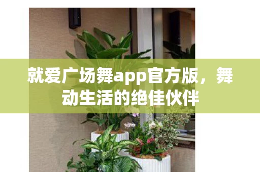 就爱广场舞app官方版图片