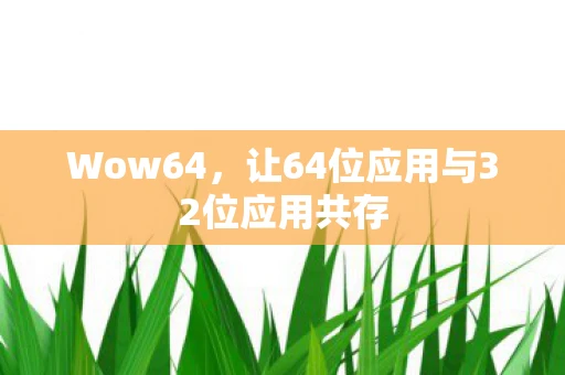 Wow64，让64位应用与32位应用共存