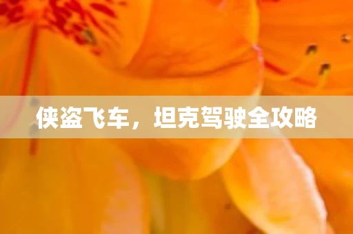 坦克驾驶全攻略图片